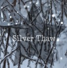 silverthaw's Avatar