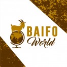 baifoworld's Avatar