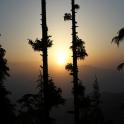 AnkitR