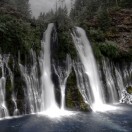 TheFallsGuy