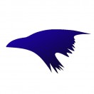 ravenpromedia's Avatar