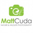 mattcuda