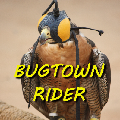Bugtownrider's Avatar