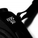 autourdenous's avatar