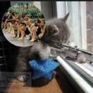 Josh_Raemaekers's Avatar