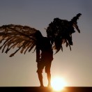 angeloider