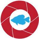UnderwaterFish