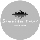 SomniumColor