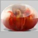 gptimelapse's Avatar