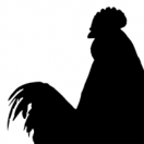 vofchickenrecordings