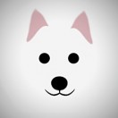 JapaneseSpitz