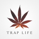 SAMPLEGOD's Avatar