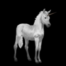 AE_PONY