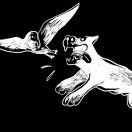 doghuntsgullfilms's Avatar