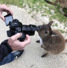 KerekesVisuals's Avatar
