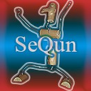Sequn_k's Avatar