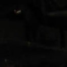 FFUUCCKKPOND5's avatar