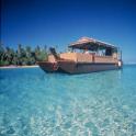 likepics