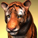tigerzonestudios