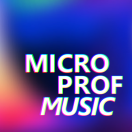 Microprofessor