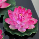 Siddhi_photos's Avatar