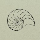 Seashell_Music's Avatar