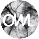 owlvideo