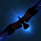 darkhawk
