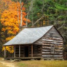 CabinInTheWood