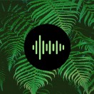 mjpstockmusic's Avatar