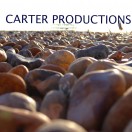 CarterProductions's Avatar