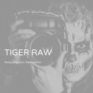 TigerRaw's Avatar