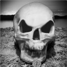 thefictioneer's Avatar