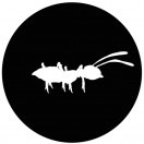 Azimuth's Avatar