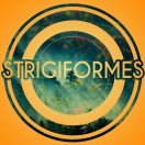 Strigiformes's Avatar