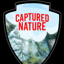 CapturedNature's Avatar