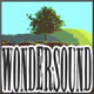 Wondersound