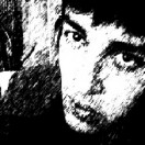 Leone_Verte