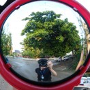 tomatheart's Avatar