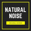 naturalnoise's Avatar